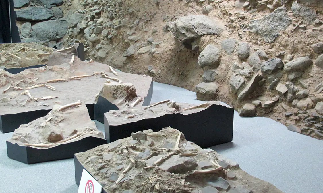 🏛️ 아리마 키리시탄 유산 기념관 이미지 3